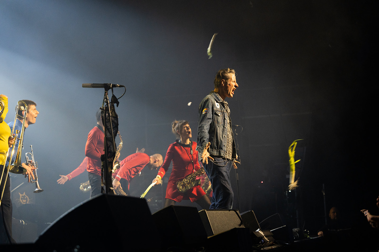 Washington Dead Cats – énergie brute